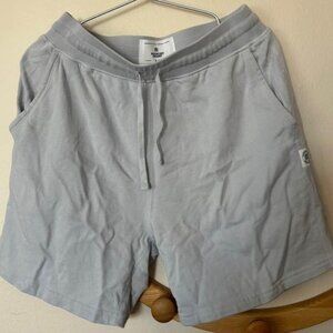 Reigning champ shorts size S
